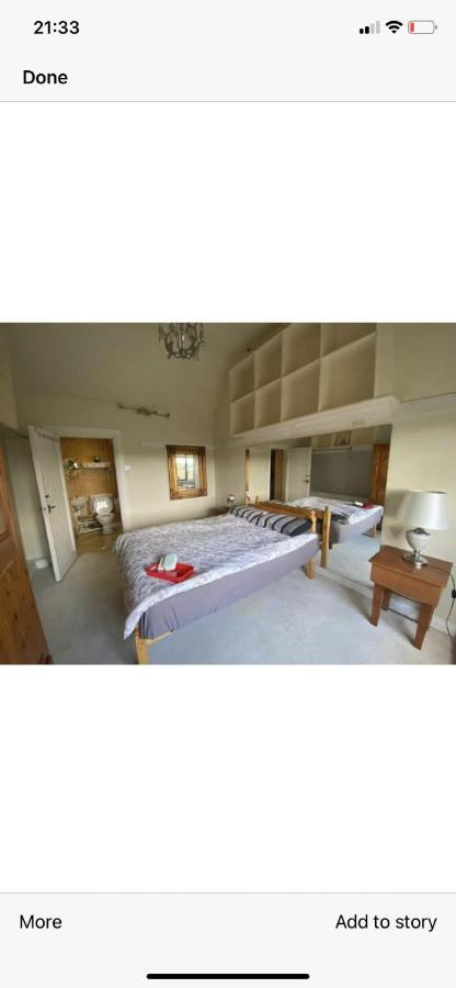 North Lodge Self Contained Guest Accommodations Kilkea Eksteriør billede