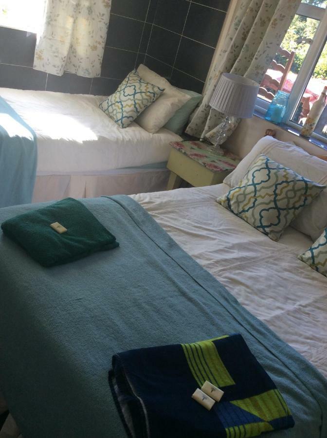 North Lodge Self Contained Guest Accommodations Kilkea Eksteriør billede