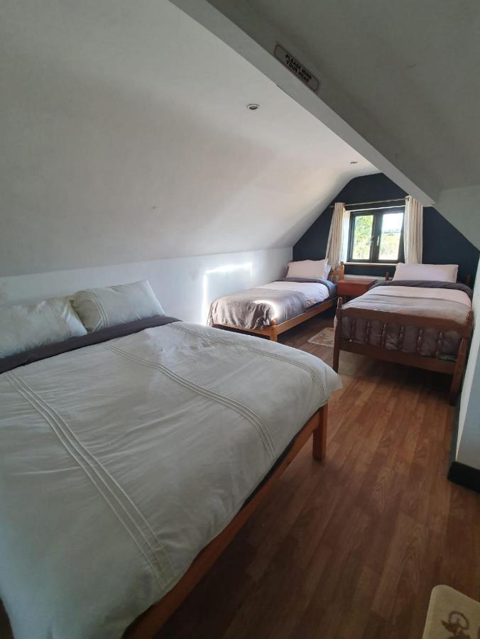 North Lodge Self Contained Guest Accommodations Kilkea Eksteriør billede