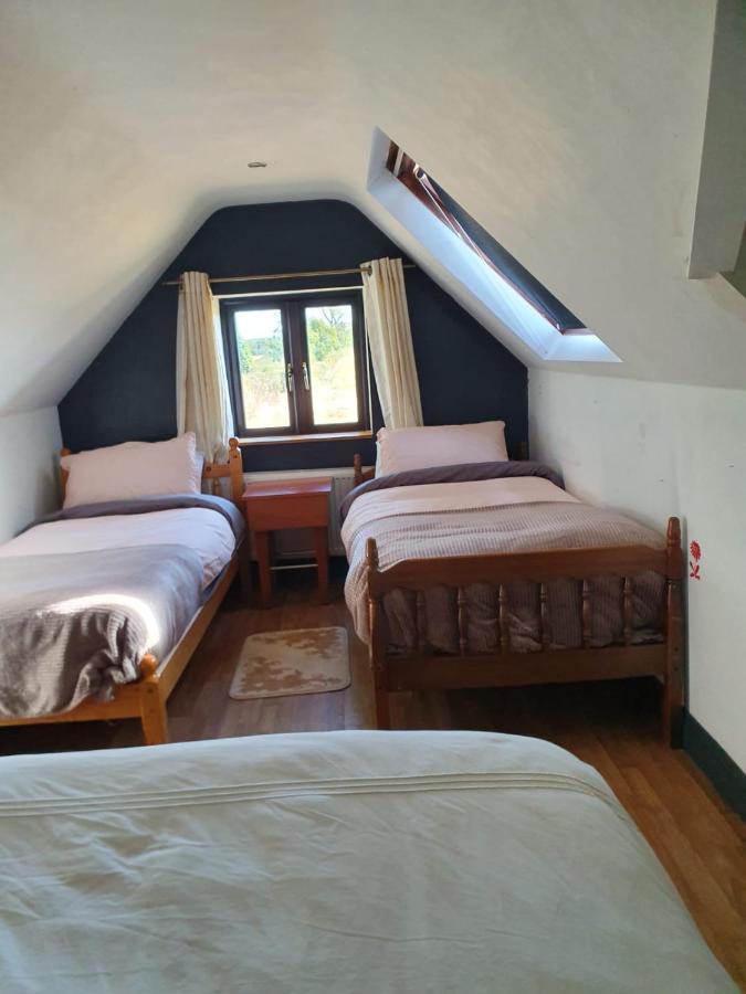 North Lodge Self Contained Guest Accommodations Kilkea Eksteriør billede